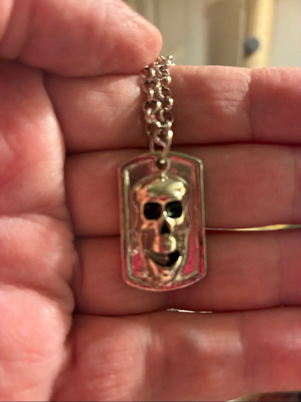Skull Pendant Necklace Scary face…